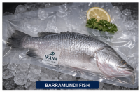 Barramundi fish vacuum pack IKANA