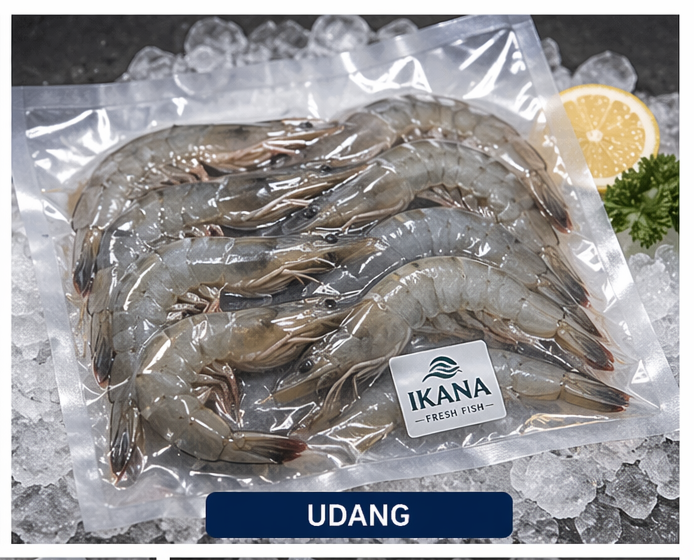 Udang fresh vacuum pack IKANA